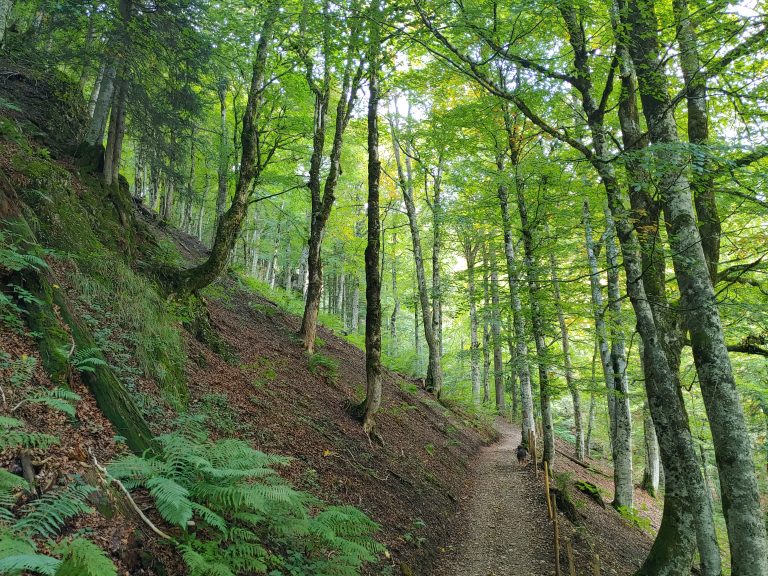 5.000 oder 40.000 €?