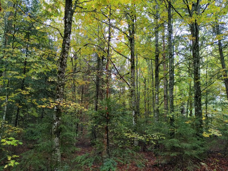 Überhaupt etwas wert?